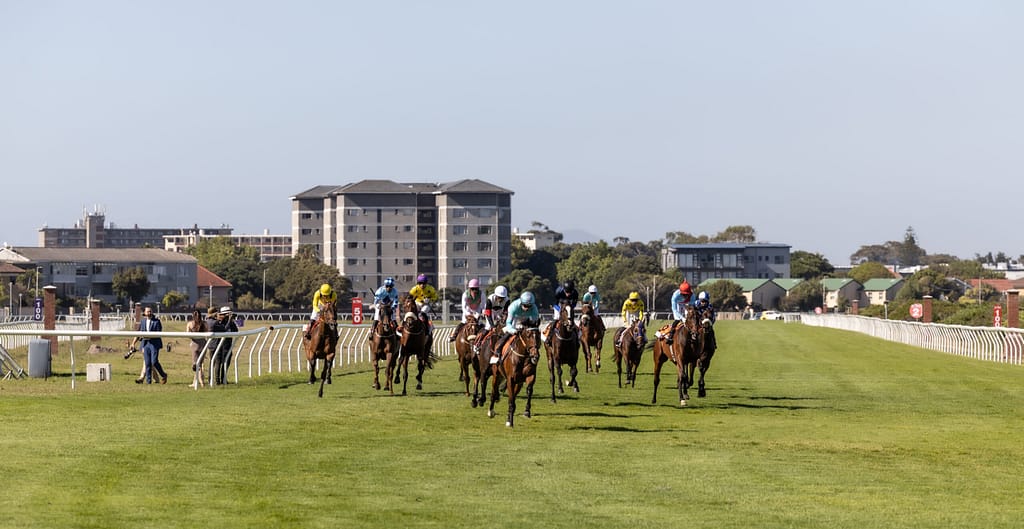 Cape Fillies Guineas horses on track