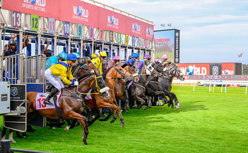 Horses bolt during a race at the Cape Town Met