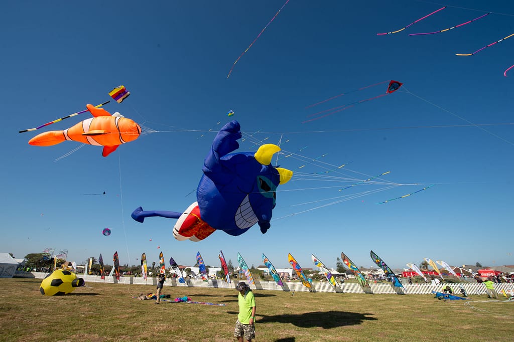 The Cape Town International Kite Festival is one of the events in Cape Town this month