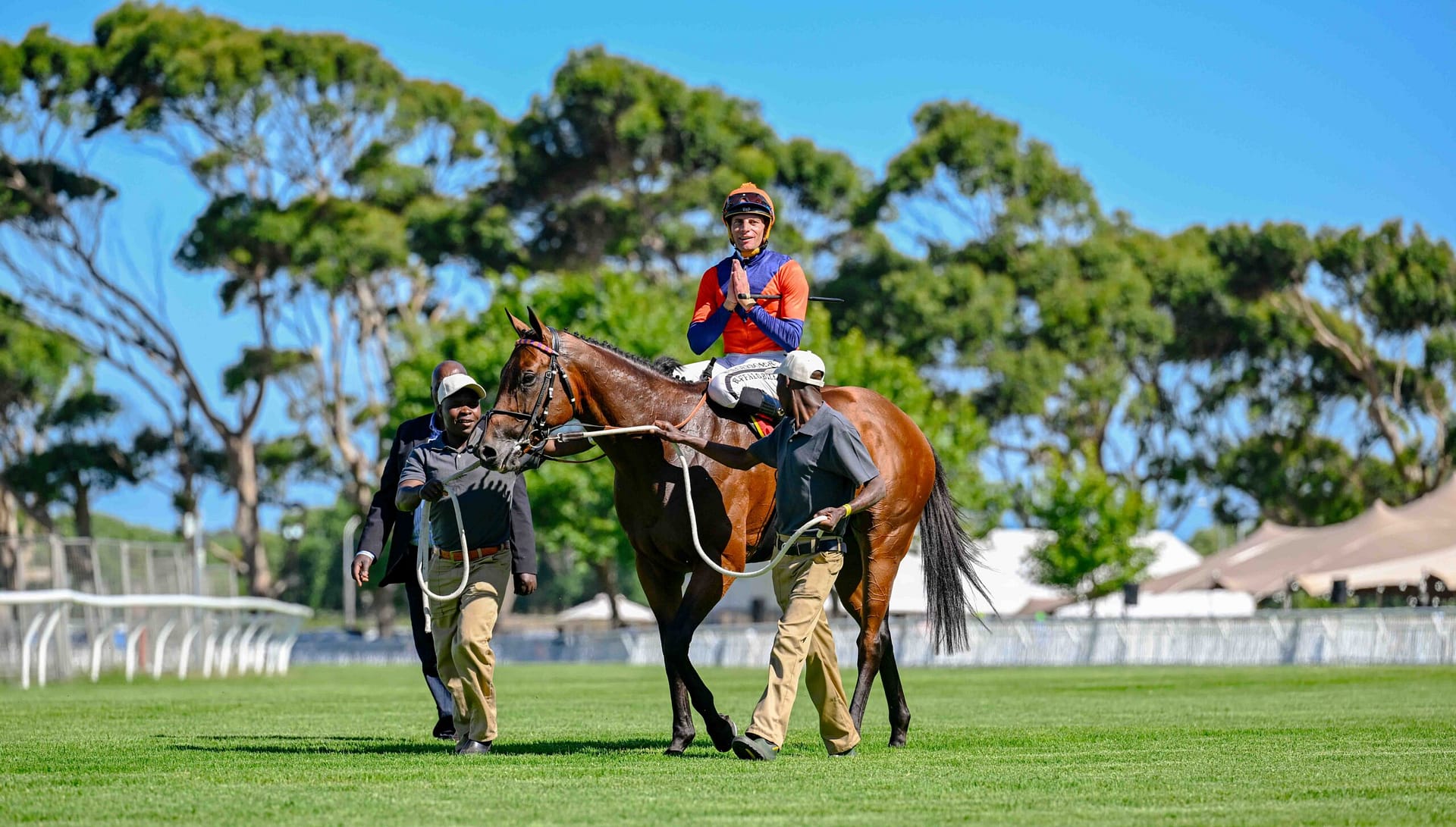 Festive Fair feat Cape Guineas