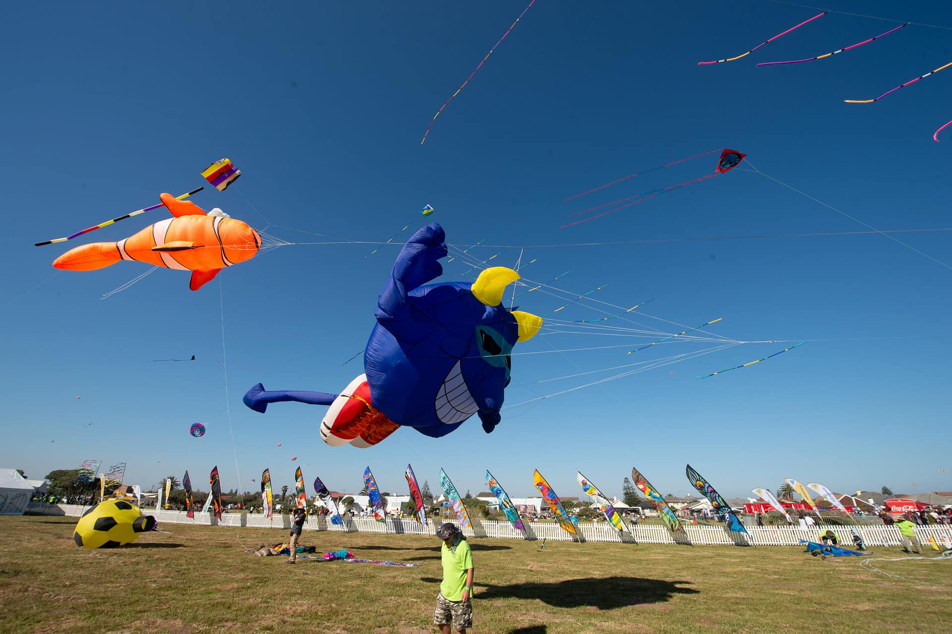 The Cape Town International Kite Festival is one of the events in Cape Town this month