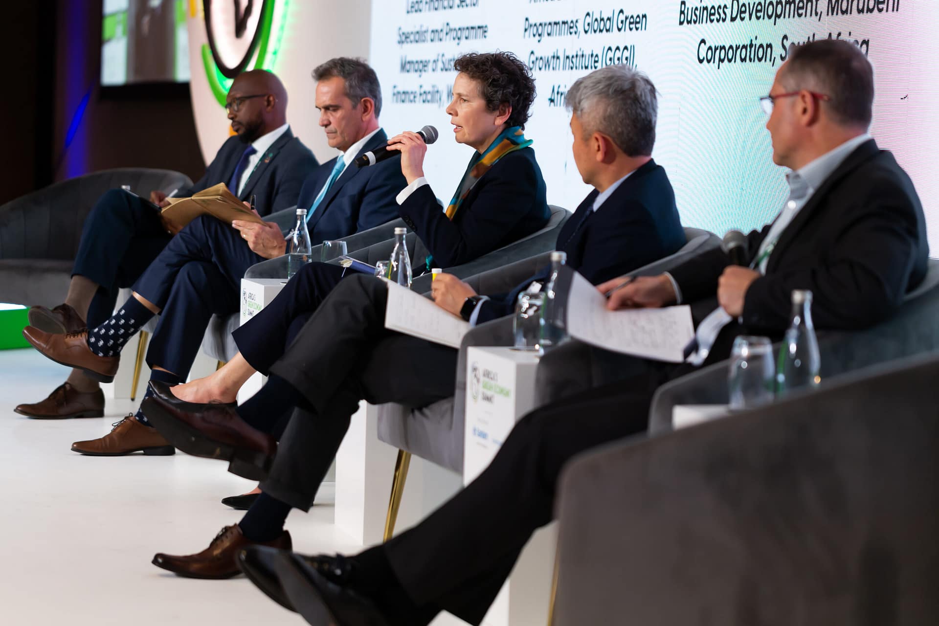 Africa Green Economy Summit Panel Discussion